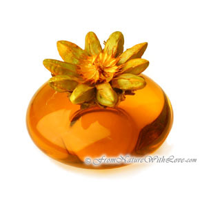 FD&C Yellow #6 Water Soluble Liquid