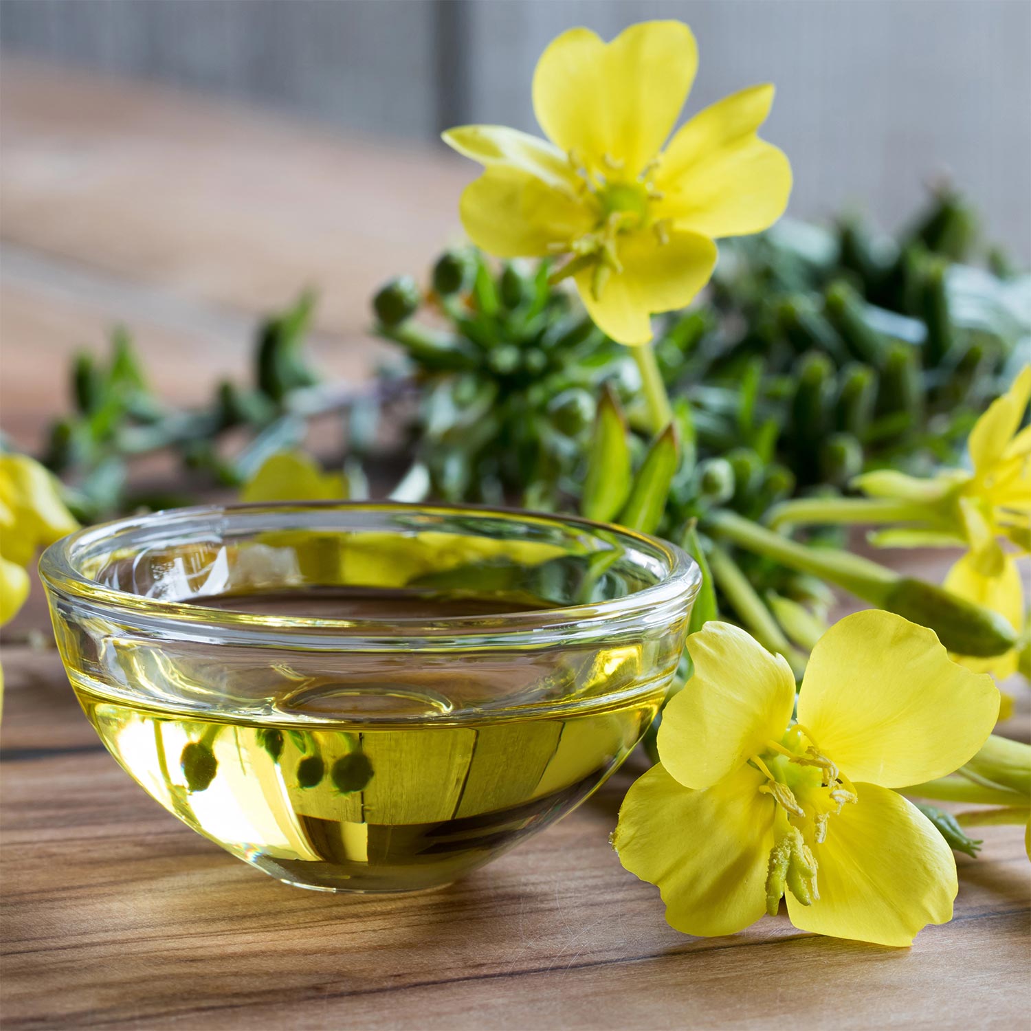 Evening Primrose Oil