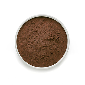 Organic Cocoa Powder